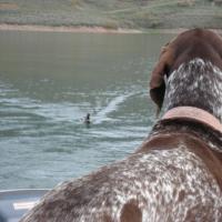 Got My Eye On You Duck