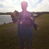 Bass catch of the day