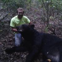 Georgia Black Bear
