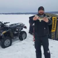Delta Lake Walleye