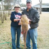 Carolyn s Yellow Cat at Bend Tx