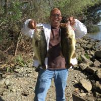 Delta Largemouth Bass