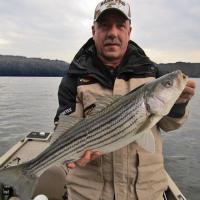 Striper Bass