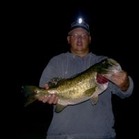 San Diego Top Water Bass