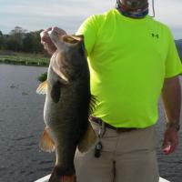 Bass: catch of the day