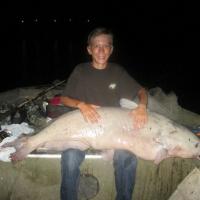 Catfish IMG 0112