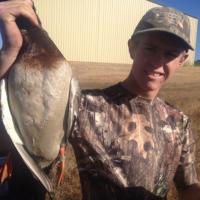 JEFF BAND - Duck Hunt