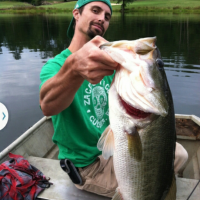 Nice Bass