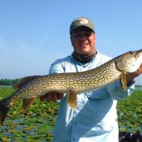 Great Pike fishing