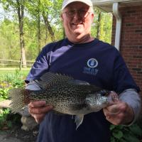 Big Crappie trophy