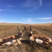 Hunting Pronghorn Wyoming  2015