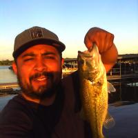 Bass fishing