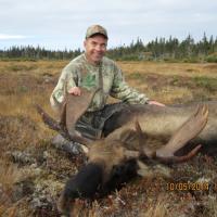 Moose, Canada hunting tip