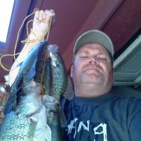 lake arlington crappie