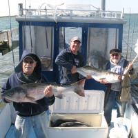 Great Day fishing Salt Bass