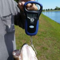 Family fishing tournament