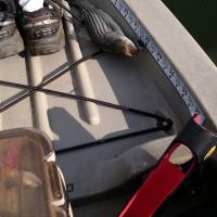 11" Juvi Striper off Odiorne Point