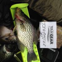 Crappie 3  3