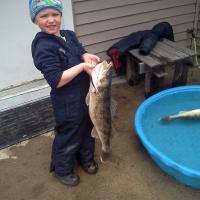 Big Walleye Fish for a little Fishermen