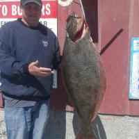 32 lb Halibut