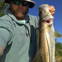 Snook Fishing