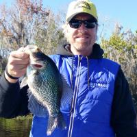 Black Crappie