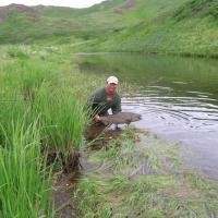 Trout in Alaska's Kodiac Island