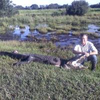 Gator Hunting E41A0766