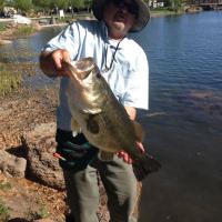 15.9LB Bass  caught & Released