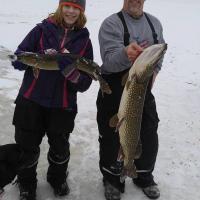 36 inch Northern Pick - New York