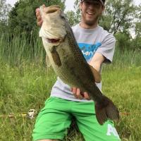 6.5 lb Bass