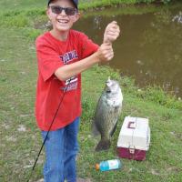 15.5 inch Black Crappie