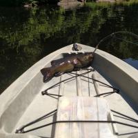 Fat Smallmouth: Kayak River Fishing