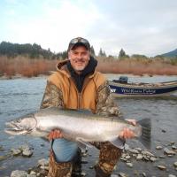 Steelhead Trout