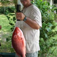 2009 FL Red Snapper