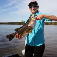 Shearon Harris Bass Lunker