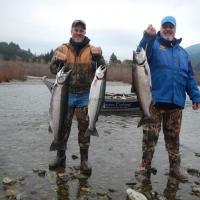 Steelhead Trout