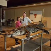 Alligator Hunt