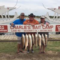 Lots of Red Drum Caught