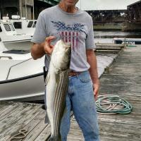 Striper Fishing