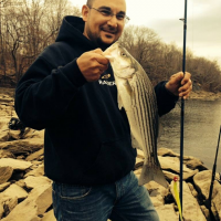 Housatonic River Bass