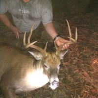 2013 Buck