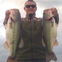 Big fish for Christmas