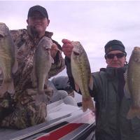 Excellent Spotted Bass