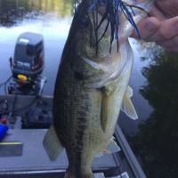 Bass fishing in Arkansas