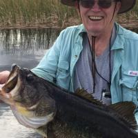 Al's BIG Bass