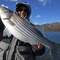 Rich "Rich Z" Zaleski big stripe bass