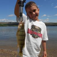 Hunter fishing Perch