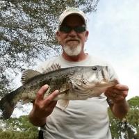 Pretty Proud of this Bass