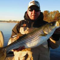 Striper Bass in Connecticut